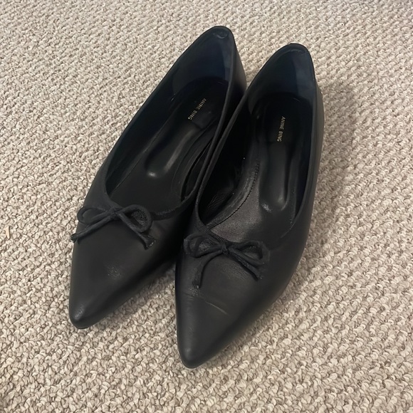 Anine Bing Delphine Flats - Picture 4 of 6